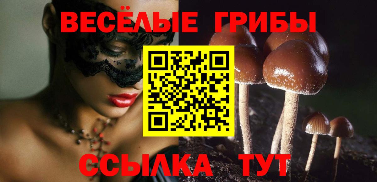Галлюциногенные грибы Magic Shrooms Ковров
